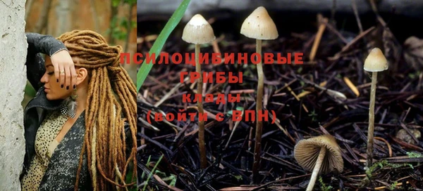 эйфоретик Володарск
