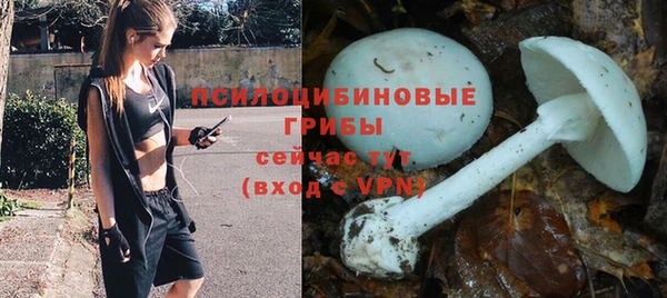 эйфоретик Володарск
